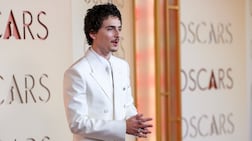 Actor Timothee Chalamet lost the Best Actor award at the 2026 Oscars to Michael B Jordan. EPA