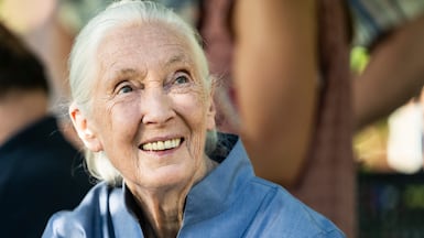 Jane Goodall at the University of Montana in 2022. She visited the UAE in February this year. AP